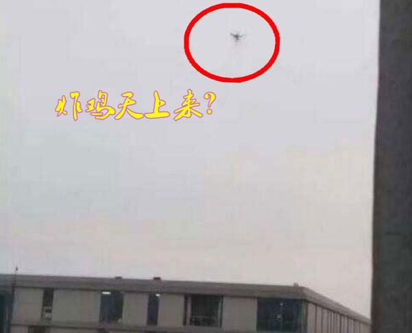 炸雞天上來，可知「炸機(jī)」危害性？